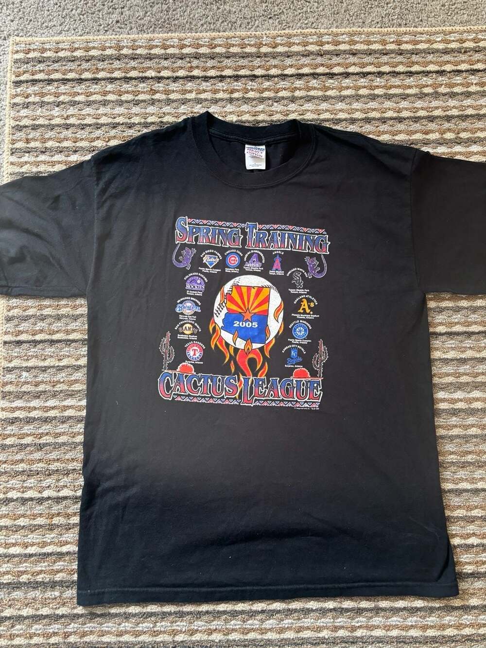 Vintage 2005 MLB Spring Training Cactus League Arizona Baseball Graphic T-Shirt